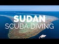 Scuba Diving Port Sudan - Pro Dive Travel With Nadia Aly