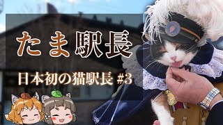 【ゆっくり解説】「たま駅長」日本初の猫駅長の物語 #3 ~希望の終着~