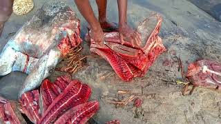 இலங்கையில் 300 kg திருக்கை  மீனை அசால்ட்டாக வெட்டும் தாத்தா,  Giant Stingray Fish Cutting, Village