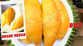 Durian HEAVEN In Malaysia|| DURIAN MUSANG KING! DURIAN Duri hitam!DURIAN UDANG MERAH