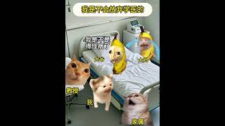 我是不会放弃学医的！ #猫meme #看一遍笑一遍 #搞笑 #中医把脉  #funny #萌宠 #萌寵  #cat #搞笑 #治癒小貓  #pets #有趣 #cute  #搞笑短視頻合集