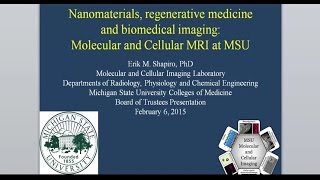Molecular and Cellular MRI at MSU