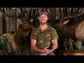 how to find big bulls elk hunting secrets beyond the grid