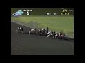 2004 meadowlands four starzzz shark mike lachance open pace $40 000