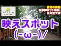 【東国三社トライアングル第１弾】勝負の神様「香取神宮」