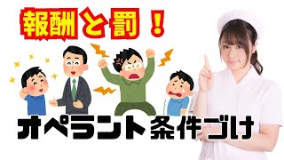 オペラント条件づけ ～報酬と罰！～【らひた】