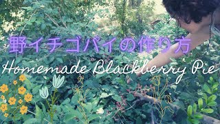 レシピ無し超簡単【野生の恵み木苺パイ/Pastel de Moras Casero】スペインの森で採ったブラックベリーでパイ作り