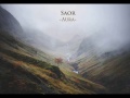 saor aura 2014