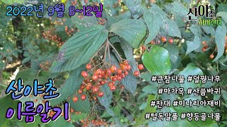 산야초 이름알기 2022년 9월 8~12일  #산야초하이랜더 #산야초 #진안군