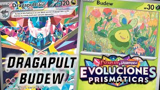 Dragapult ex Budew ¡La vuelta del item lock! - Prismatic Evolutions / Evoluciones Prismáticas