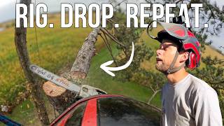 Insane Tree Work Compilation | Technical Rigging, Climbing & Full-Tree Chipping!