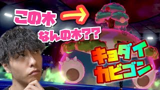 【ポケモン剣盾】キョダイマックスカビゴンが強い！ところでこいつに生えてる木って何の木なん？？【ポケモンバトル】【カビゴン】【キョダイマックス】