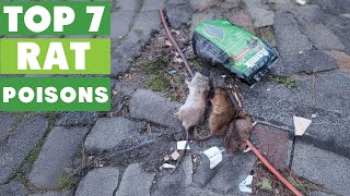 Top 7 Rat Poisons That Work Fast