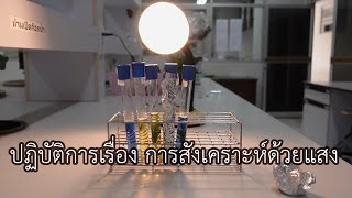 ปฏิบัติการชีววิทยาเรื่อง การสังเคราะห์ด้วยแสง (Photosynthesis Laboratory)