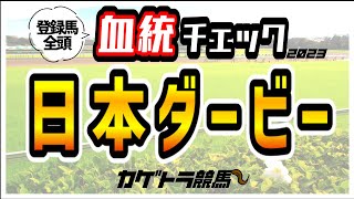 【日本ダービー2023】穴馬のプラス血統、人気馬のマイナス血統、過去15回徹底検証！高評価3頭！