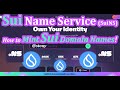 Sui Name Service Tutorial (How to Mint .sui Domain Names via SuiNS)