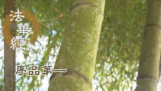 【靜思妙蓮華】法華經序品第一 - 菩薩悲智 應機傳法 - 20191219 第79集