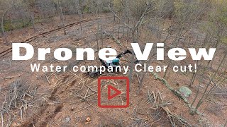 Drone View: Water Company Logging | TimberPro \u0026 Ryans DS28C Clearing Gypsy Moth Kill