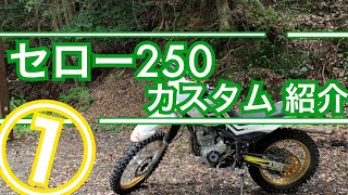 【セローカスタム①】オフロード仕様のセロー250を紹介！！