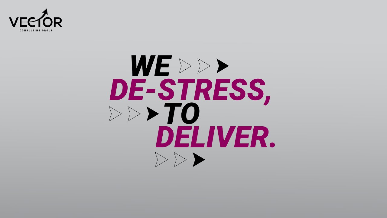 Vector Consulting Group Delivering 100 Success In Organisation