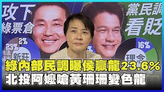 【2022選戰】自家票倉也輸！綠內部民調曝侯友宜贏林佳龍23.6% 深綠票倉掃街北投阿嬤嗆黃珊珊變色龍