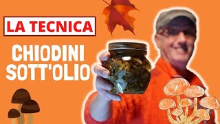 Come fare i chiodini sott'olio, ricetta e segreti