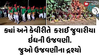 Aadivasi parampara: ક્યાં અને કેવીરીતે  કરાઈ જુવારીયા ઇંધની ઉજવણી...જુઓ ઉજવણીના દ્રશ્યો