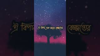 সমস্ত ফিতনা থেকে আল্লাহ আমাদের হেফাজত করুন। আমিন