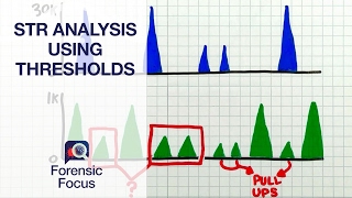 Setting Thresholds for Quality STR Results - Forensic Focus #5
