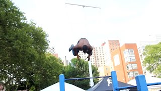 NBXA 2012 (Bronx Freestyle Calisthenics Tournament)