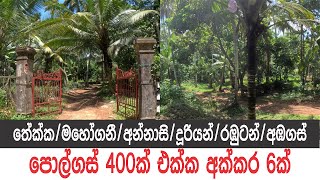 අක්කර 6යි | පොල් ගස් 400 | House Sale in Sri Lanka|#ApeSuduMalli-සුදුමල්ලි