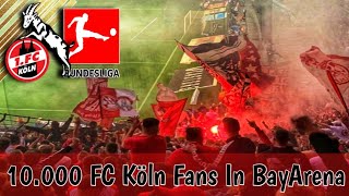 🔴⚪ 10.000 FC Köln Fans In BayArena Arena Against Bayern Leverkusen FT 1-2 • DERBYSIEGER• Bundesliga