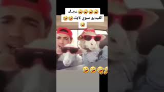 احلا تقليد هههههه