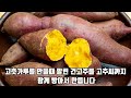 고추 이렇게 먹으면 치매와 암에 걸린다ㅣ고추와 절대로 함께 먹지마세요ㅣ암과 치매에 걸릴 수 있습니다ㅣ고추 최고의 궁합인 음식 3가지ㅣ만성 염증과 독소 제거