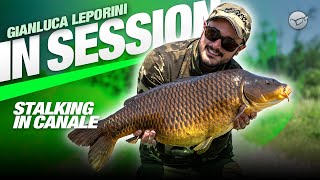 🕵️‍♂️ STALKING: sessione veloce in canale 🔥🎣   - Gianluca Leporini | Carpfishing