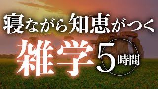 【睡眠導入】寝ながら知恵がつく雑学5時間【合成音声】