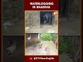 Cyclone Dana Impact: Waterlogging In Residential Areas Of Bhadrak Due To Rainfall From The Cyclone