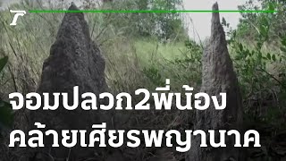 ขอโชคจอมปลวก 2 พี่น้อง คล้ายเศียรพญานาค | 27-01-66 | ตะลอนข่าว