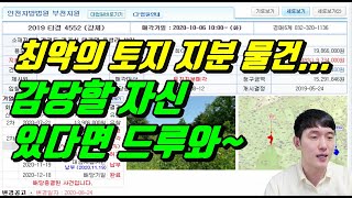 [법원경매] 묘지 있는 토지 지분경매의 끝판왕! 감당할 수 있는 사람들만 입찰하셔야 합니다.