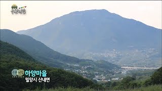 [우문현답] 30화. 정년퇴직할 나이가 훨씬 지났는데 지금까지 농사짓는 이유는? - 경남 밀양시 산내면 하양마을 (2015.08.26,수)