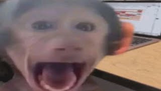 Top 5 Scream