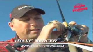 Facts of Fishing Tip - Shimano Calais DC