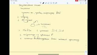 Патофизиология. Воспаление. Медиаторы воспаления клеточного происхождения. Часть 1.