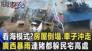 開啟「看海模式」？房屋倒塌、車子沖走 廣西暴雨連小豬都躲進民宅高處！【關鍵時刻】20200608-3 劉寶傑 黃世聰