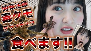 【閲覧注意】毒クモを食べちゃった!!衝撃の一部始終!!【Popteen】【レギュモサバイバル】