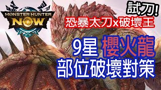 [Monster Hunter Now] 9星櫻火龍 vs 破壞王 #MHN #pinkrathian #リオレイア亜種 #部位破壊 #破壞王 #モンハンnow #太刀 #solo #櫻火龍 #9星