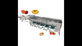 Lemon Grading Machine Citrus Sorting Machine Grader Sorter