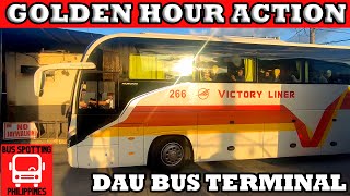 GOLDEN HOUR ACTION | DAU BUS TERMINAL