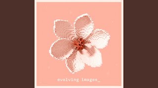 Evolving Image