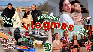 VLOGMAS #3 II vánoční Vídeň s kamarády, křest knížky, obří Lidl výprodej, vánoční cukroví🎄🍪💌